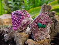 Natural Salrose Cobaltion Dolomite with Malachite Specimens x 6 From Kakanda, Congo - Toprock Gemstones and Minerals 