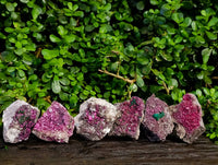 Natural Salrose Cobaltion Dolomite with Malachite Specimens x 6 From Kakanda, Congo - Toprock Gemstones and Minerals 