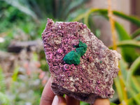 Natural Salrose Cobaltion Dolomite with Malachite Specimens x 6 From Kakanda, Congo - Toprock Gemstones and Minerals 