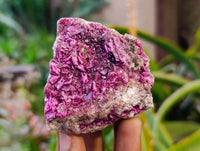 Natural Salrose Cobaltion Dolomite with Malachite Specimens x 6 From Kakanda, Congo - Toprock Gemstones and Minerals 
