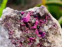 Natural Salrose Cobaltion Dolomite with Malachite Specimens x 6 From Kakanda, Congo - Toprock Gemstones and Minerals 