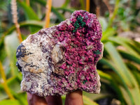 Natural Salrose Cobaltion Dolomite with Malachite Specimens x 6 From Kakanda, Congo - Toprock Gemstones and Minerals 