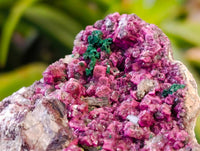 Natural Salrose Cobaltion Dolomite with Malachite Specimens x 6 From Kakanda, Congo - Toprock Gemstones and Minerals 