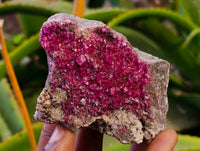 Natural Salrose Cobaltion Dolomite with Malachite Specimens x 6 From Kakanda, Congo - Toprock Gemstones and Minerals 