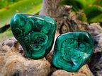 Polished Flower Banded Malachite Free Forms x 6 From Congo - Toprock Gemstones and Minerals 