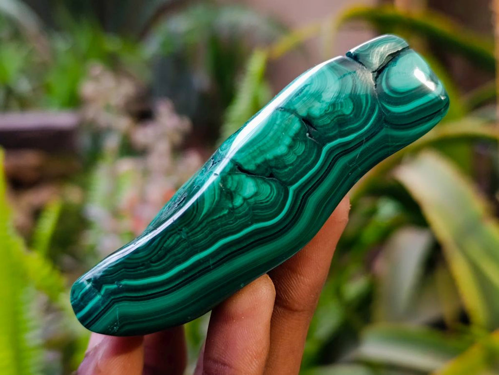 Polished Flower Banded Malachite Free Forms x 6 From Congo - Toprock Gemstones and Minerals 