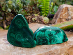 Polished Flower Banded Malachite Free Forms x 6 From Congo - Toprock Gemstones and Minerals 
