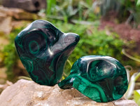 Polished Flower Banded Malachite Free Forms x 6 From Congo - Toprock Gemstones and Minerals 