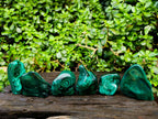 Polished Flower Banded Malachite Free Forms x 6 From Congo - Toprock Gemstones and Minerals 