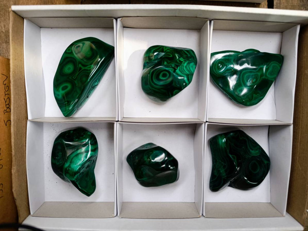 Polished Flower Banded Malachite Free Forms x 6 From Congo - Toprock Gemstones and Minerals 