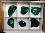 Polished Flower Banded Malachite Free Forms x 6 From Congo - Toprock Gemstones and Minerals 