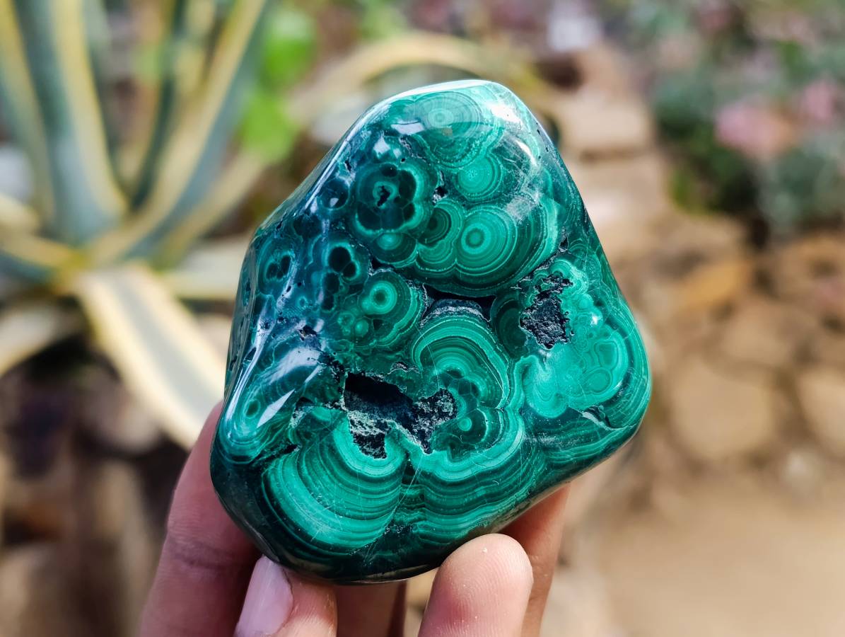 Polished Flower Banded Malachite Free Forms x 6 From Congo - Toprock Gemstones and Minerals 