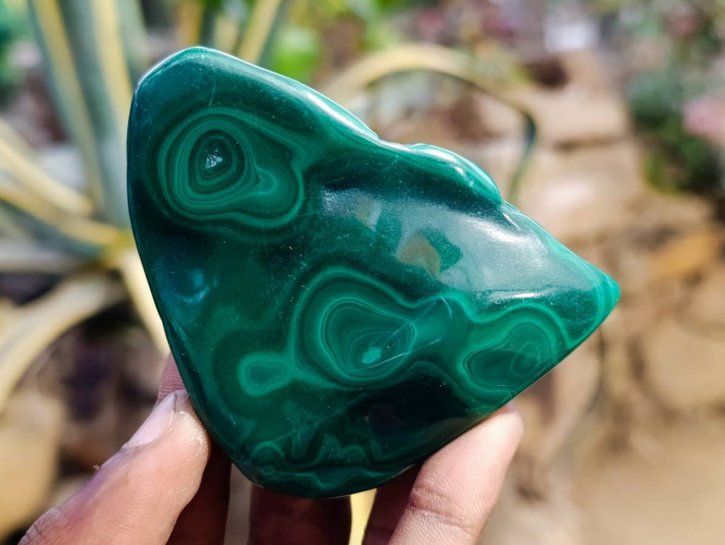 Polished Flower Banded Malachite Free Forms x 6 From Congo - Toprock Gemstones and Minerals 