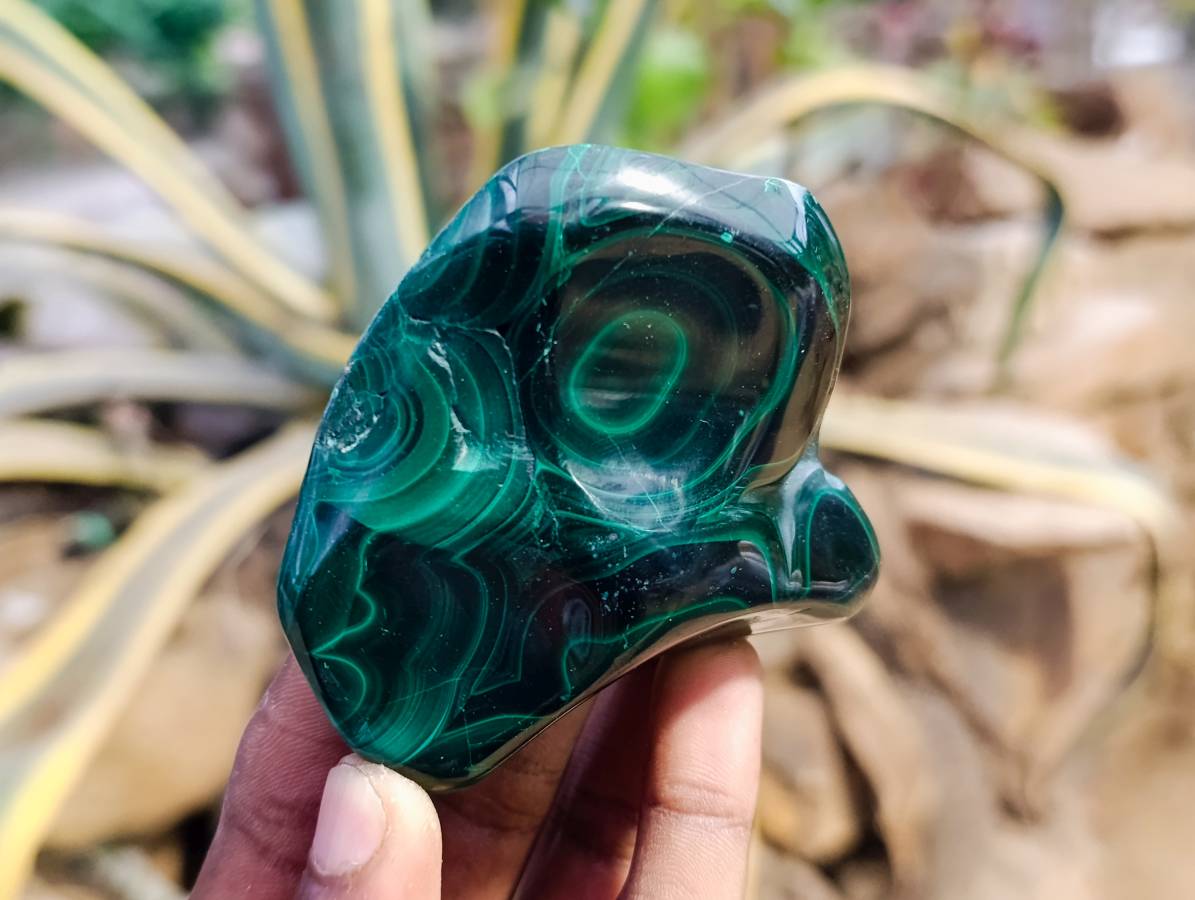 Polished Flower Banded Malachite Free Forms x 6 From Congo - Toprock Gemstones and Minerals 