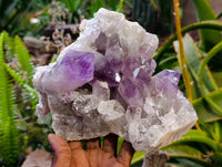 Natural Jacaranda Amethyst Quartz Clusters x 1 From Mumbwa, Zambia - Toprock Gemstones and Minerals 