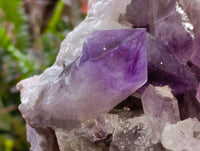 Natural Jacaranda Amethyst Quartz Clusters x 1 From Mumbwa, Zambia - Toprock Gemstones and Minerals 