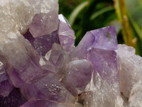 Natural Jacaranda Amethyst Quartz Clusters x 1 From Mumbwa, Zambia - Toprock Gemstones and Minerals 
