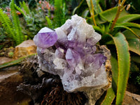 Natural Jacaranda Amethyst Quartz Clusters x 1 From Mumbwa, Zambia - Toprock Gemstones and Minerals 
