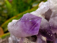 Natural Jacaranda Amethyst Quartz Clusters x 1 From Mumbwa, Zambia - Toprock Gemstones and Minerals 