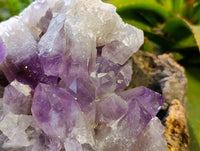 Natural Jacaranda Amethyst Quartz Clusters x 1 From Mumbwa, Zambia - Toprock Gemstones and Minerals 