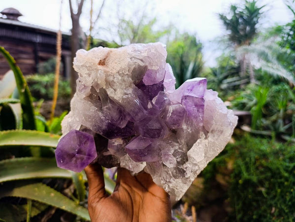 Natural Jacaranda Amethyst Quartz Clusters x 1 From Mumbwa, Zambia - Toprock Gemstones and Minerals 