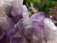 Natural Jacaranda Amethyst Quartz Clusters x 1 From Mumbwa, Zambia - Toprock Gemstones and Minerals 