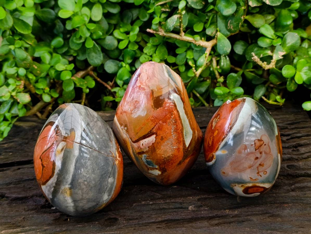 Polished On One Side Polychrome Jasper Nodules x 3 From NW Coast, Madagascar - Toprock Gemstones and Minerals 