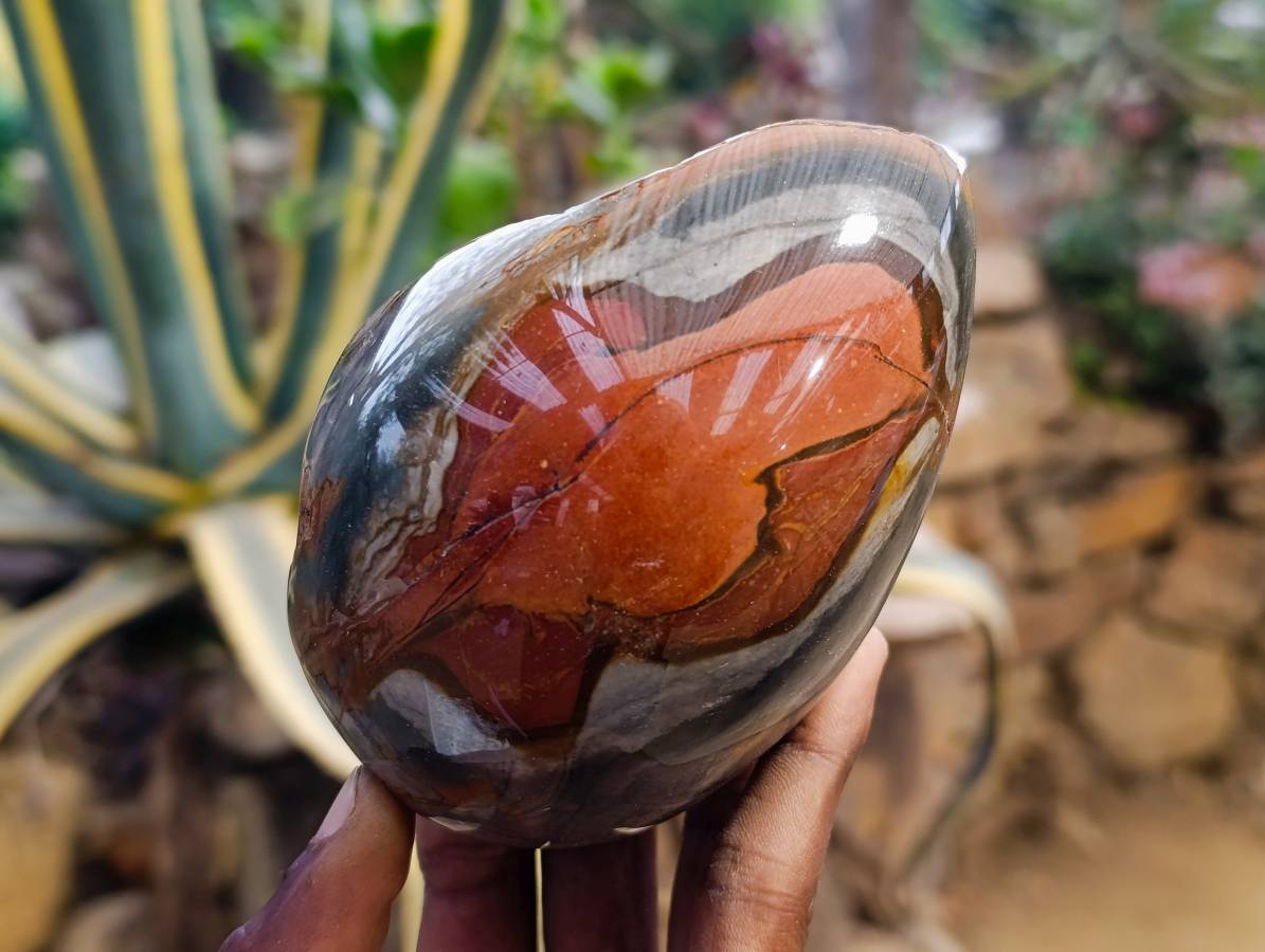 Polished On One Side Polychrome Jasper Nodules x 3 From NW Coast, Madagascar - Toprock Gemstones and Minerals 