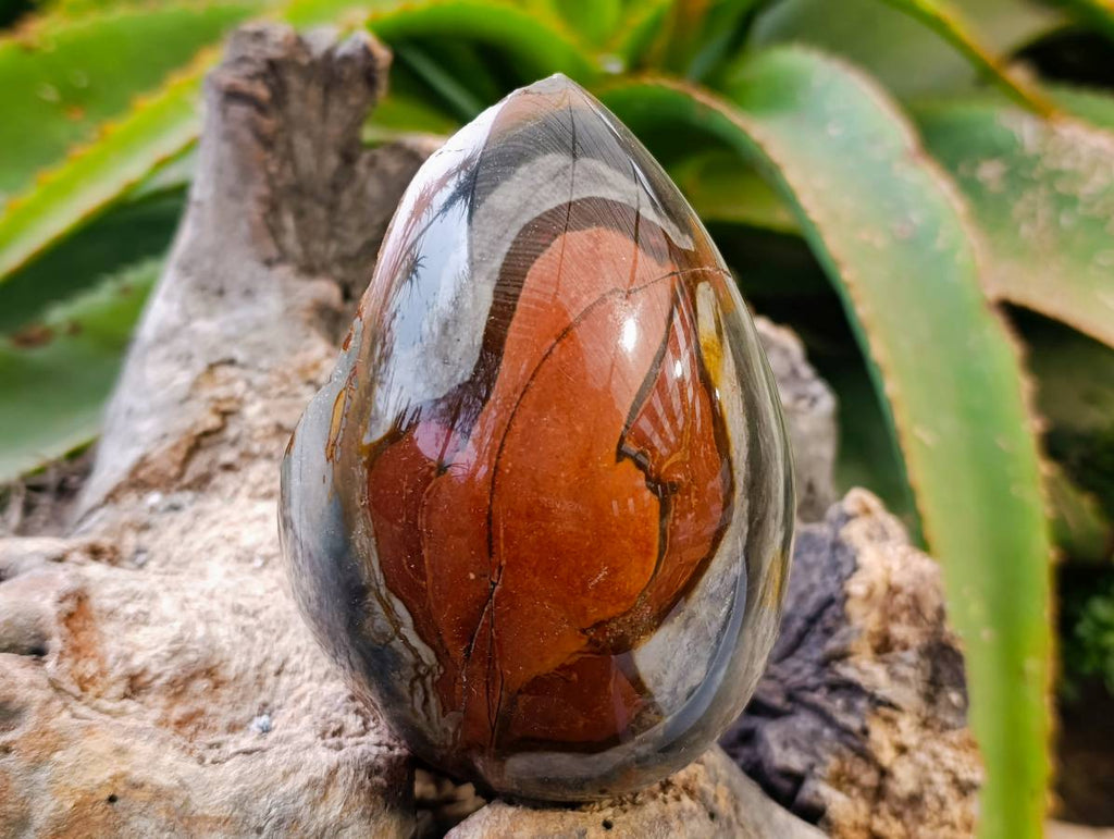 Polished On One Side Polychrome Jasper Nodules x 3 From NW Coast, Madagascar - Toprock Gemstones and Minerals 