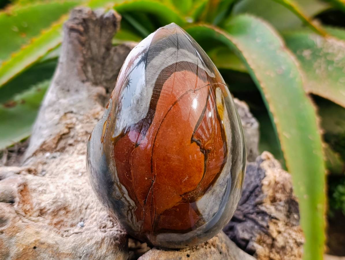 Polished On One Side Polychrome Jasper Nodules x 3 From NW Coast, Madagascar - Toprock Gemstones and Minerals 
