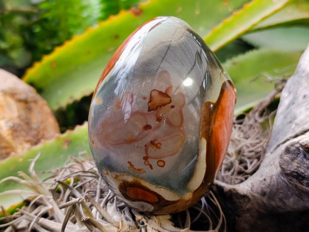 Polished On One Side Polychrome Jasper Nodules x 3 From NW Coast, Madagascar - Toprock Gemstones and Minerals 