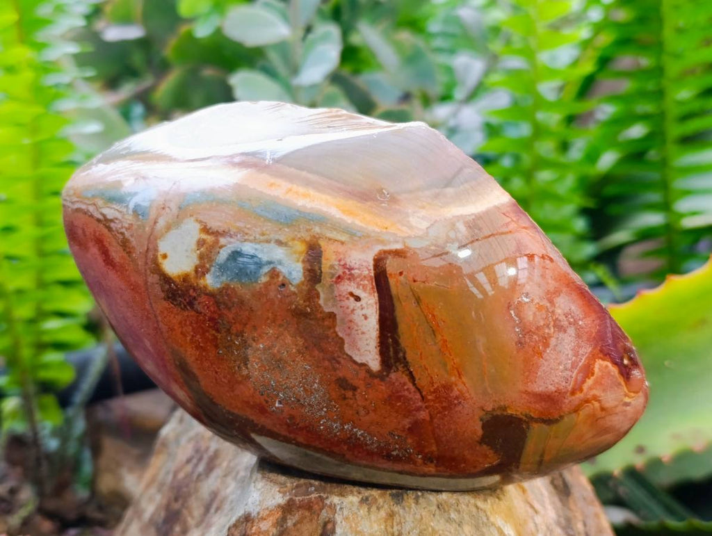 Polished On One Side Polychrome Jasper Nodules x 3 From NW Coast, Madagascar - Toprock Gemstones and Minerals 
