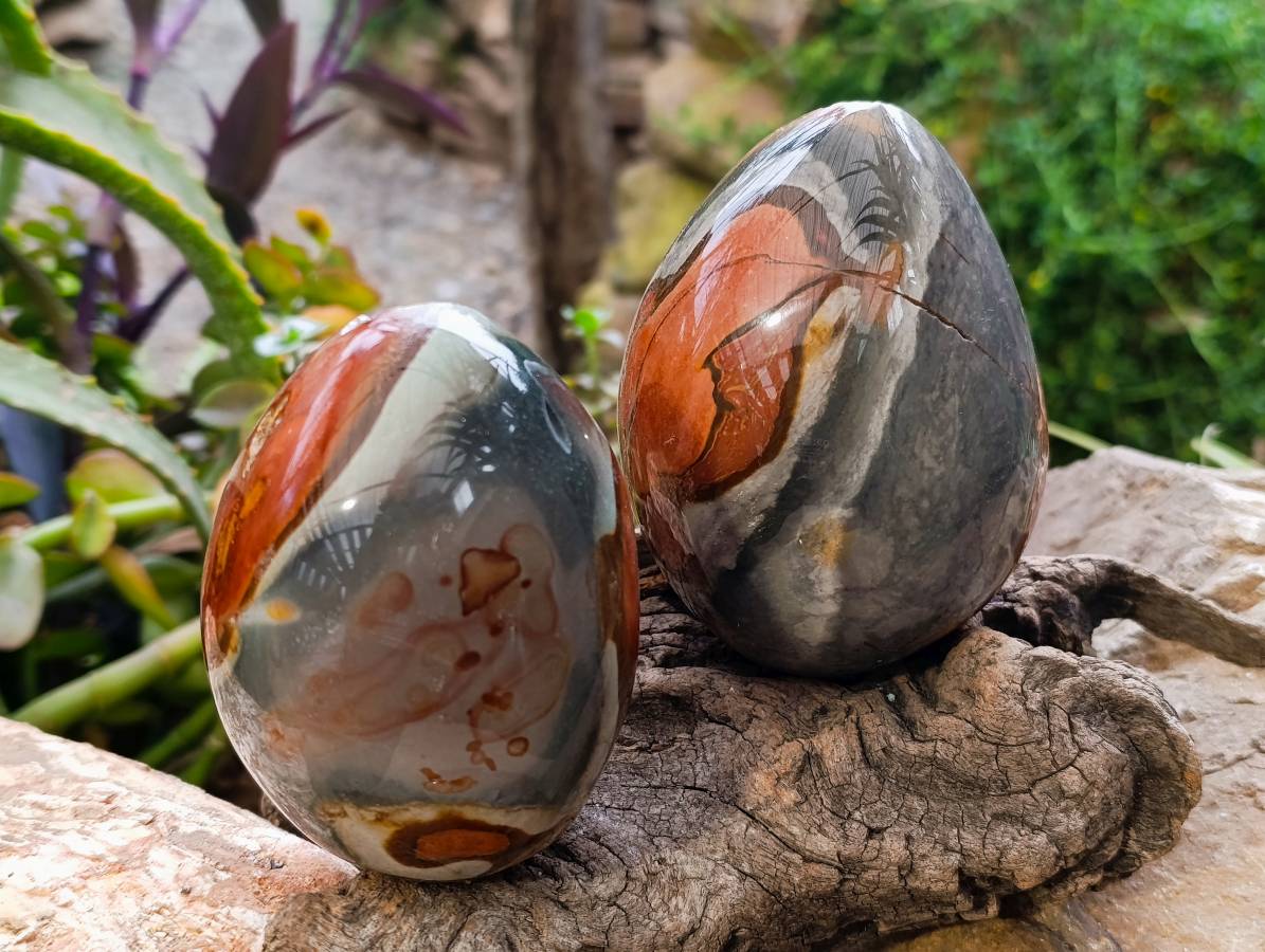 Polished On One Side Polychrome Jasper Nodules x 3 From NW Coast, Madagascar - Toprock Gemstones and Minerals 