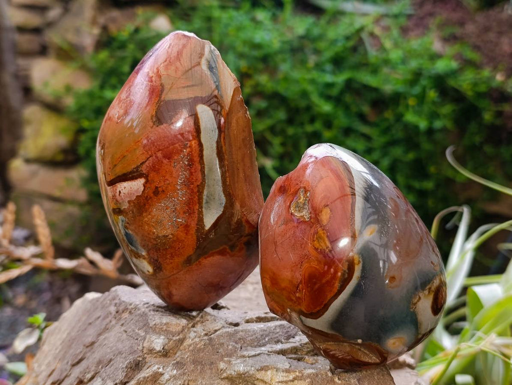 Polished On One Side Polychrome Jasper Nodules x 3 From NW Coast, Madagascar - Toprock Gemstones and Minerals 