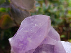 Natural Jacaranda Amethyst Quartz Crystals x 2 From Mumbwa, Zambia - Toprock Gemstones and Minerals 