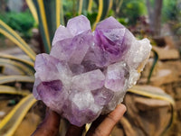 Natural Jacaranda Amethyst Quartz Crystals x 2 From Mumbwa, Zambia - Toprock Gemstones and Minerals 