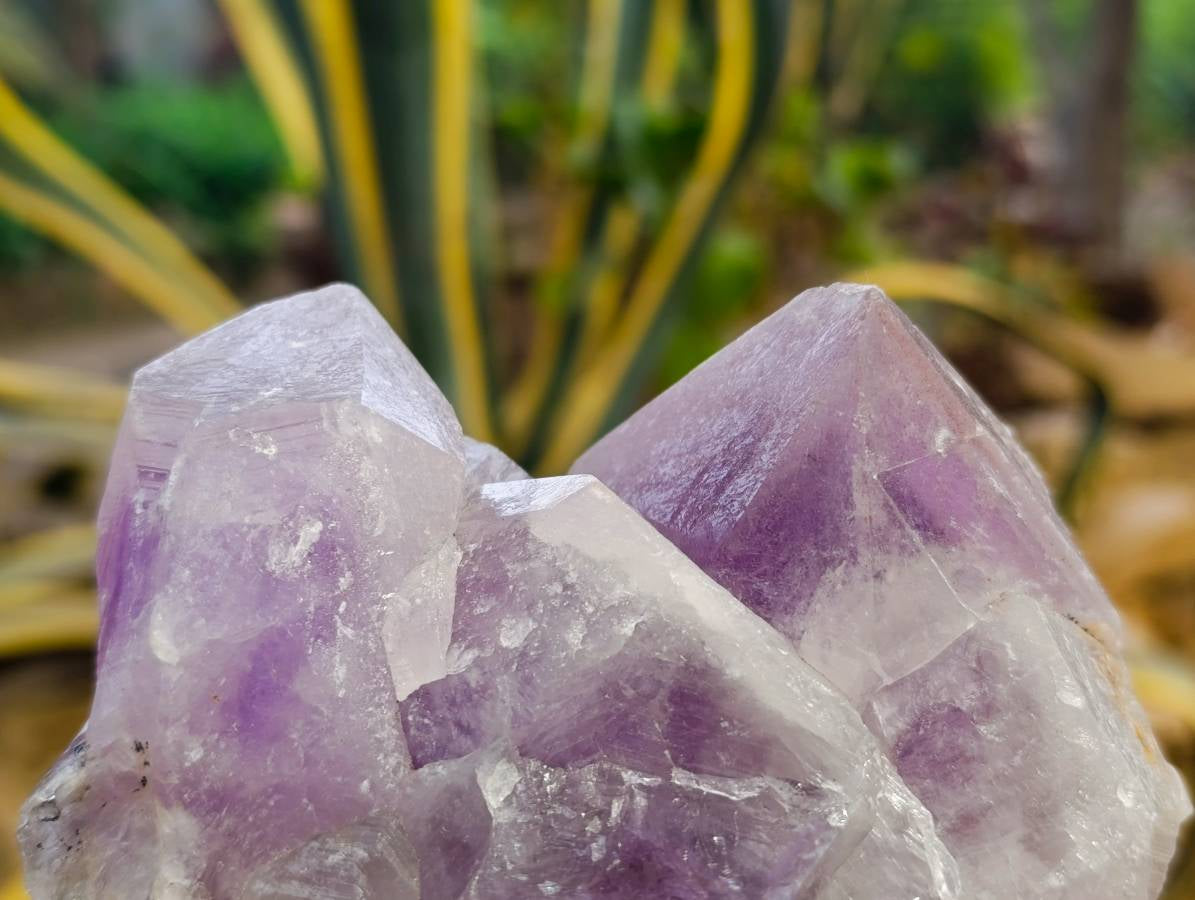 Natural Jacaranda Amethyst Quartz Crystals x 2 From Mumbwa, Zambia - Toprock Gemstones and Minerals 