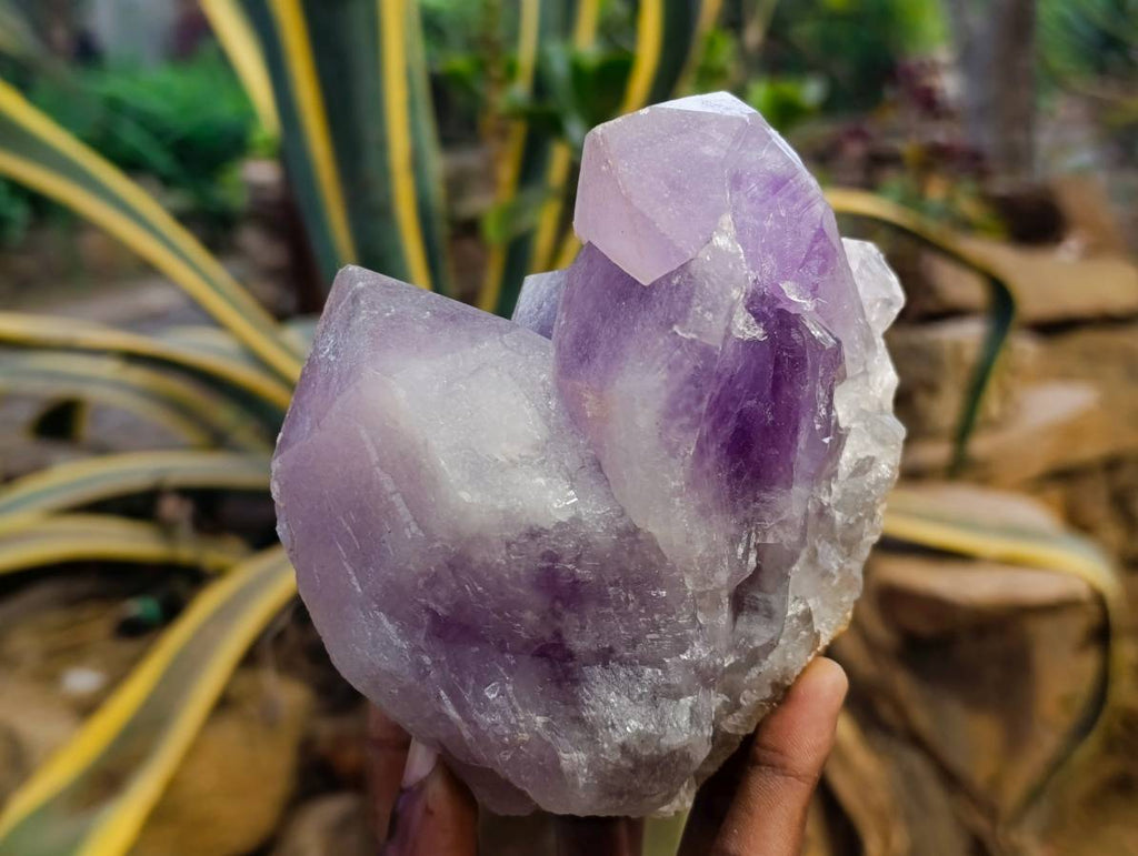 Natural Jacaranda Amethyst Quartz Crystals x 2 From Mumbwa, Zambia - Toprock Gemstones and Minerals 