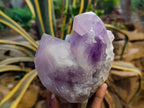 Natural Jacaranda Amethyst Quartz Crystals x 2 From Mumbwa, Zambia - Toprock Gemstones and Minerals 