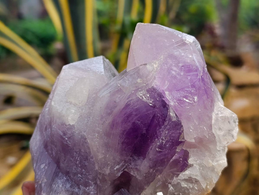 Natural Jacaranda Amethyst Quartz Crystals x 2 From Mumbwa, Zambia - Toprock Gemstones and Minerals 