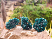 Natural Dioptase On Dolomite Specimens x 12 From Likasi, Congo