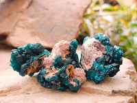 Natural Dioptase On Dolomite Specimens x 12 From Likasi, Congo
