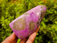 Polished Stichtite Standing Free Forms x 2 From Barberton, South Africa