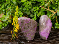 Polished Stichtite Standing Free Forms x 2 From Barberton, South Africa