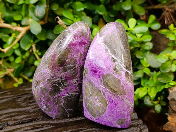 Polished Stichtite Standing Free Forms x 2 From Barberton, South Africa