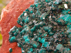 Natural Dioptase On Dolomite Specimens x 1 From Likasi, Congo - Toprock Gemstones and Minerals 