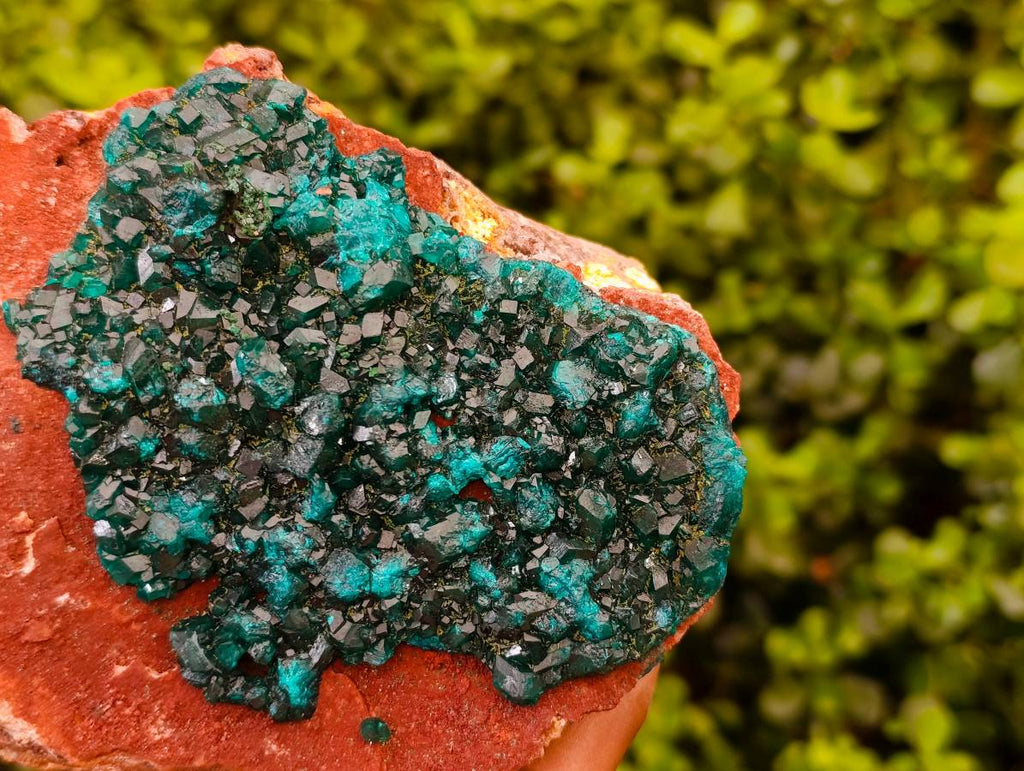 Natural Dioptase On Dolomite Specimens x 1 From Likasi, Congo - Toprock Gemstones and Minerals 