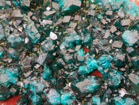 Natural Dioptase On Dolomite Specimens x 1 From Likasi, Congo