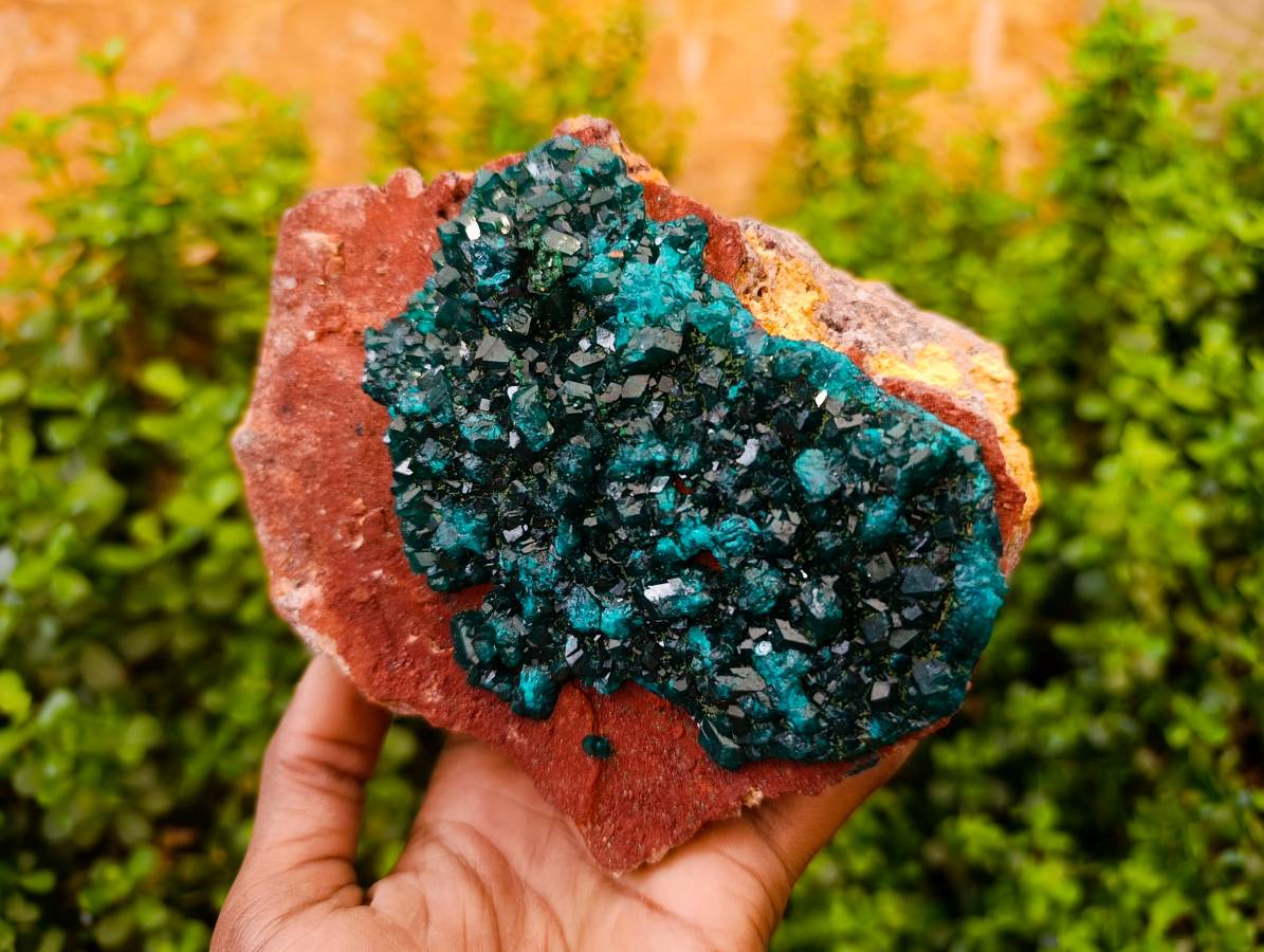 Natural Dioptase On Dolomite Specimens x 1 From Likasi, Congo - Toprock Gemstones and Minerals 