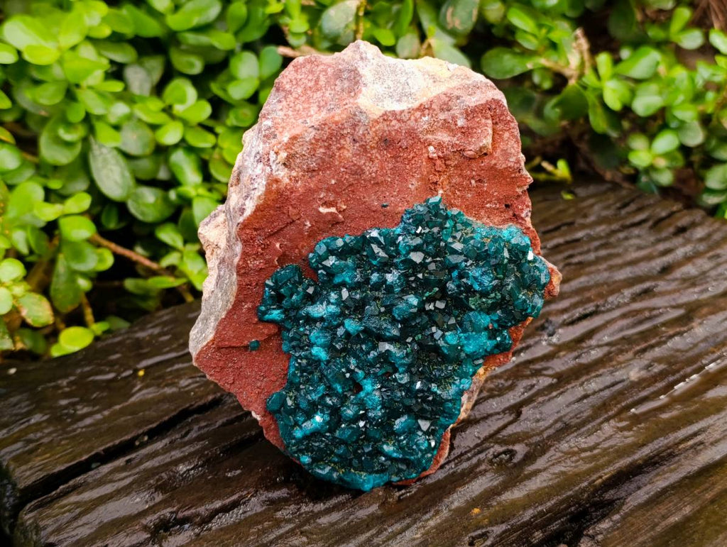 Natural Dioptase On Dolomite Specimens x 1 From Likasi, Congo - Toprock Gemstones and Minerals 
